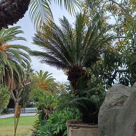 Ilusión * Tacoronte