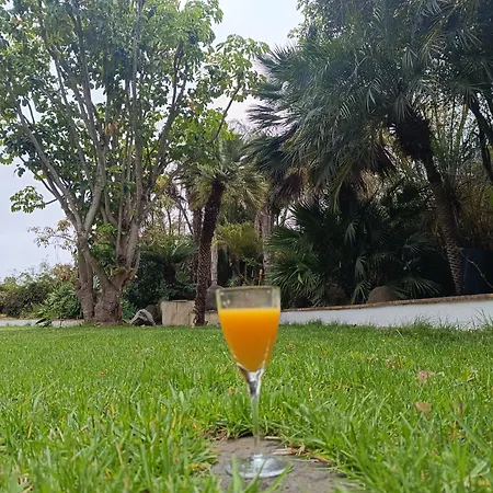 Ilusión * Tacoronte