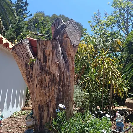 Ilusión Apartamento Tacoronte