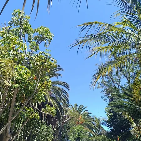 Ilusión Apartamento