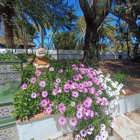 Ilusión Apartamento Tacoronte