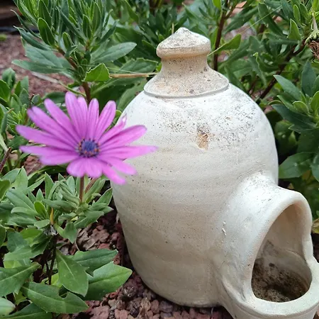 Appartement Ilusion Tacoronte