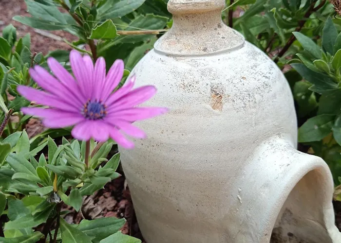 Appartement Ilusion Tacoronte