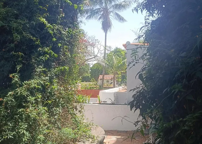 Ilusion Appartement Tacoronte