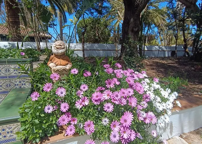 Ilusion Appartement Tacoronte