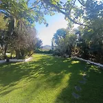 Ilusion Tacoronte