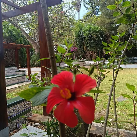 Apartamento Ilusión *