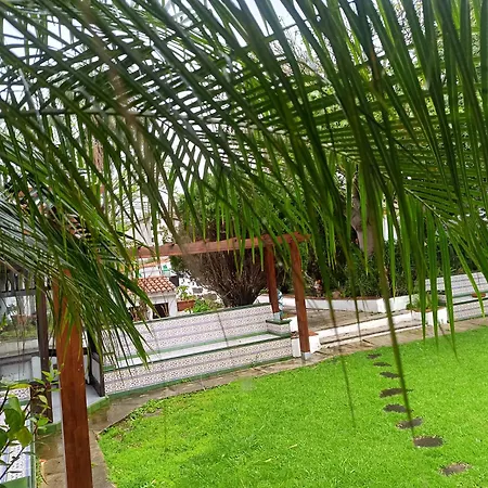 Ilusión Apartamento Tacoronte