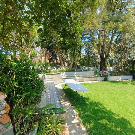 Ilusion * טקורונטה