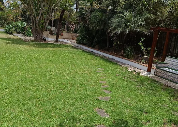 Ilusion * טקורונטה