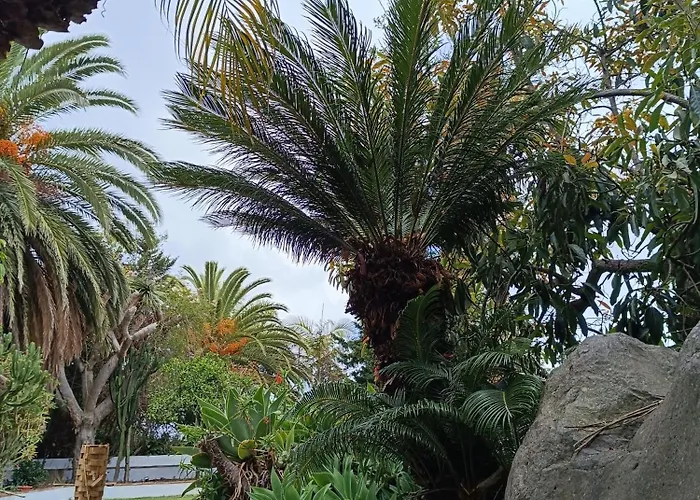 Ilusion * 타코론테