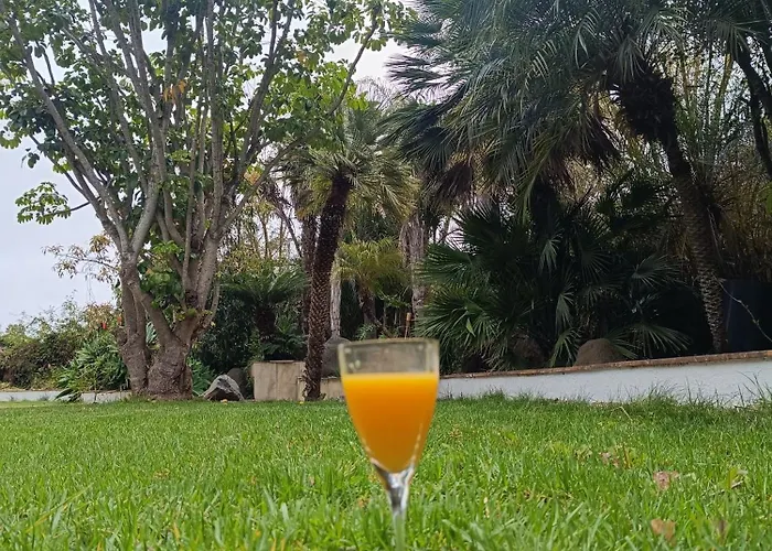 Ilusion * טקורונטה