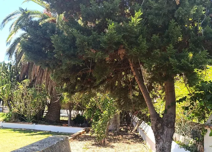 Ilusion 타코론테