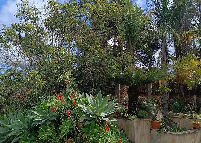 Apartament Ilusion *