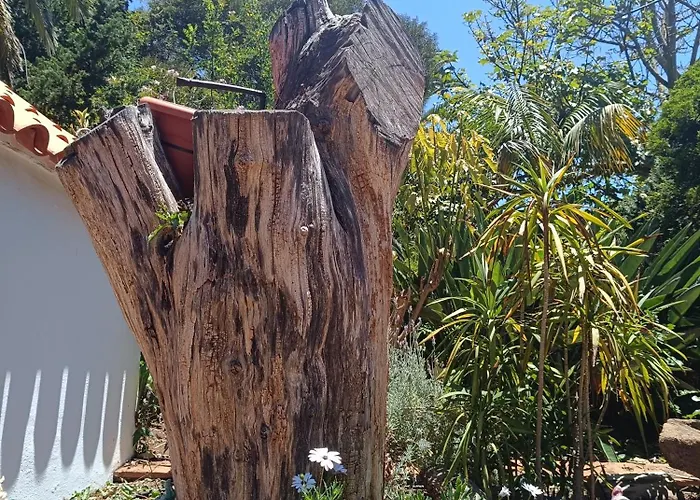 Ilusion Appartamento Tacoronte